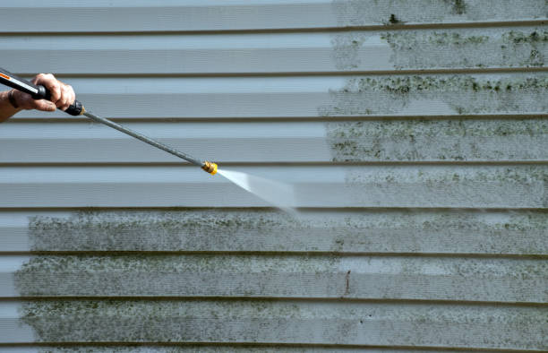Best Residential Mold Removal  in Brogden, NC