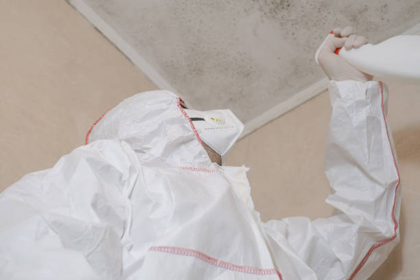 Water Damage Restoration in Brogden, NC